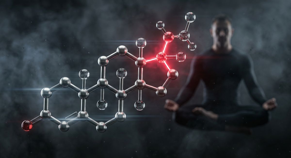 Testosterona Libre vs Total: Todo lo que un Hombre debe Saber